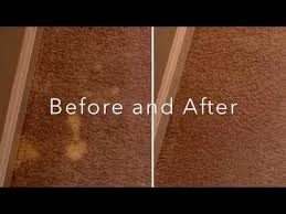 carpet color repair how to spot dye