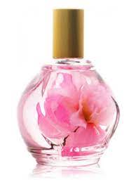 ambiance rose guy bouchara perfume