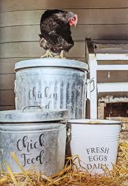 Chickens are omnivores, to be sure. Chicken Feed Guide Chick To Laying Hen Fresh Eggs Daily