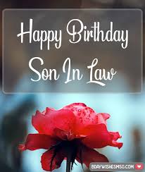best 35 birthday wishes for son in law