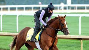 Kentucky Derby 2022: See who's among ...
