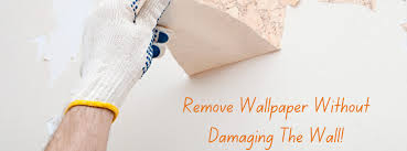Remove Wallpaper Without Damaging