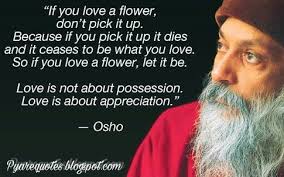 Best osho quotes on life, love, happiness, fear, courage. Best Quotes For Friends Osho S Quotes On Love Life Relationship
