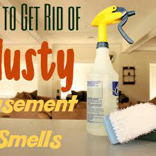 how to get rid of musty bat smells