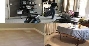 hippo carpet cleaning rockville