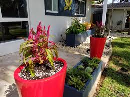 how to plant in tall planters 3 steps