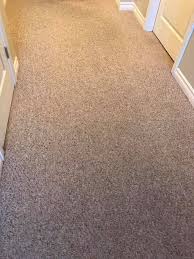 expert carpet cleaning services by