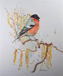Original Watercolor Painting Bird On