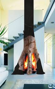 Wood Burning Fireplace Metaplace 2