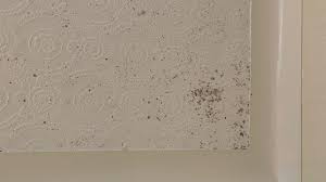 Black Mould In Bathroom