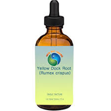 yellow dock root tinctures liquid
