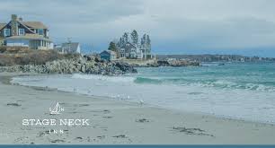 best beaches in maine for sea gl