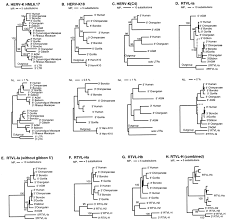 Constructing Primate Phylogenies From Ancient Retrovirus