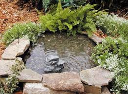Diy Idea For A Mini Garden Pond With A