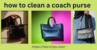to clean a coach purse