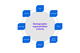 demographic segmentation what it is