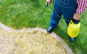 How To Kill Weeds Permanently Get Rid