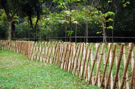 Live Bamboo Fence Design Ideas Cooper House Garden