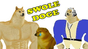 It definitely helps that the template is so versatile. Best Of Swole Doge Vs Cheems Meme Youtube