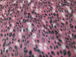 cheetah blanket leopard print small