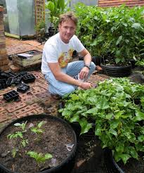 Grow Vegetables In A Tyre Garden