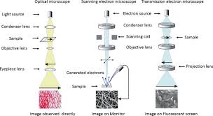 electron microscopy springerlink