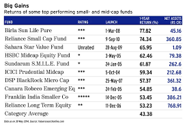 invest in small cap and mid cap funds