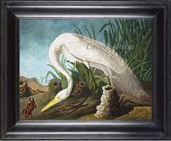 White Heron Wall Art Print 503