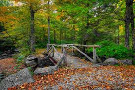 View campground details for site: The 8 Best Campgrounds In Ct Ranked By Campers Like You