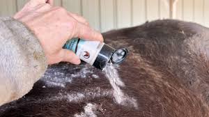 Greatest Shedding Tools For Horses