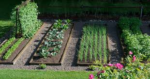 How To Start Your Organic Garden From