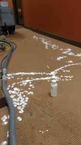 commercial carpet cleaning north