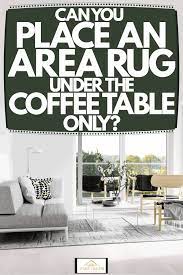 Area Rug Under The Coffee Table Only