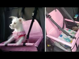 Small Dog Diy Dog Car Seat