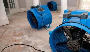 Basement Dehumidification Services In