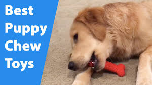 puppy chew toys for teething puppies