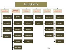 Antibiotic Families Pharmacology Nursing Pharmacology