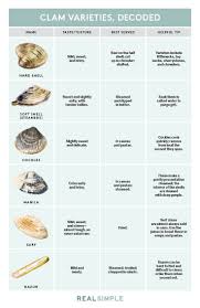 Heres Every Type Of Clam In One Simple Chart In 2019 Clam