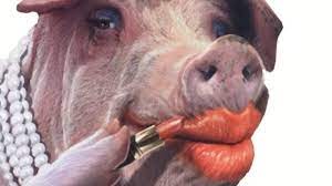 putting lipstick on a pig capital