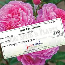 Day Gift Guide For Gardeners