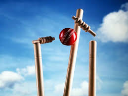 Image result for cricket