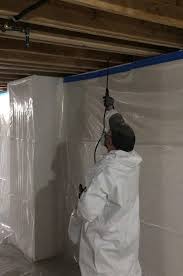 Ultimately if we think there's water from above the risk is mold on the hidden side of the ceiling drywall; Is White Mold Dangerous How To Get Rid Of White Mold