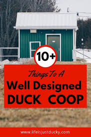 Saw the 5 by 15 cm 2 by 6 inches boards into eight boards 1 2 m 4 feet long using a circular saw. A Well Designed Duck Coop To Make Your Life Easier Life Is Just Ducky