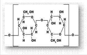 physical chemical structure of cotton