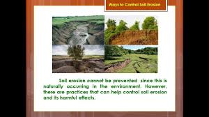 ways to control soil erosion you