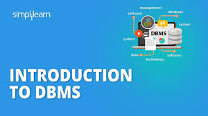 dbms database management system