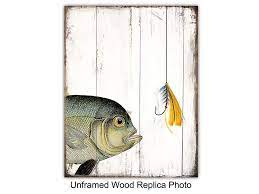 8x10 fishing lures wall art poster
