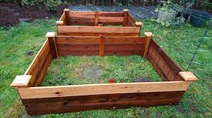 build a raised bed garden in just 31