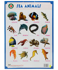 Water Animals Name Picture A Selection Of Pins About Animals