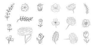 flower line vector art icons and